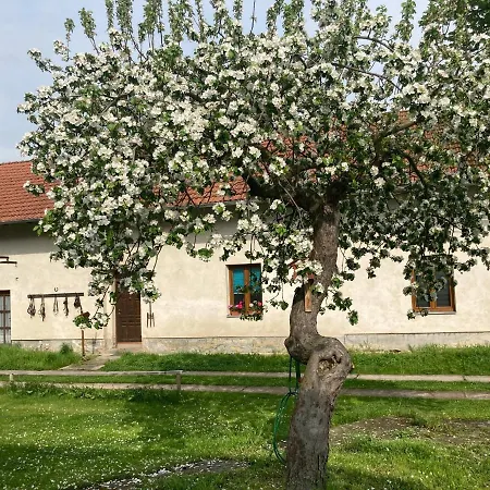Prijemny Apartman Se Zahradou Ostresany Exterior photo
