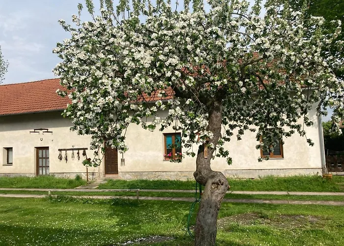 Prijemny Apartman Se Zahradou